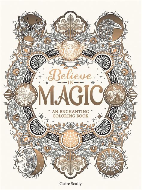Transform Dull Moments into Magical Ones with the Enchanting Coloring Book